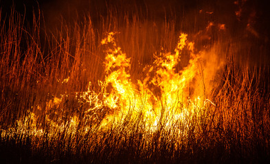 field firestorm at night