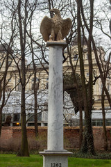 orzeł © Henryk Olszewski