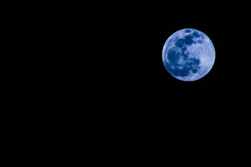 Naklejka na ściany i meble full moon in the night sky (Wolf Moon)