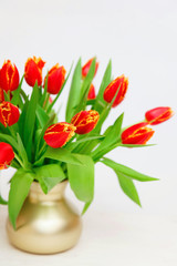 Fototapeta na wymiar Bouquet of tulips in a vase on a light background