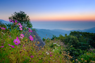 Obraz premium View point from Doi Mae Taman mountain on morning, Chiangmai, Thailand