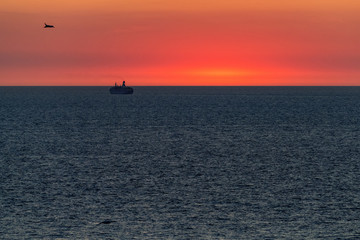 Silhouette of a large ocean liner sailing on the sea on the horizon after sunset.