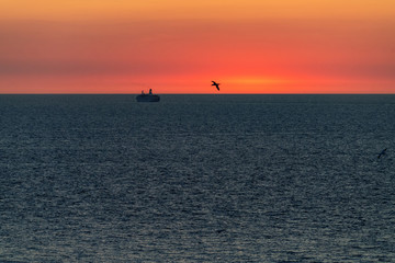 Silhouette of a large ocean liner sailing on the sea on the horizon after sunset.