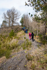 Monte Somma, Naples (Italy) - This trekking route is a challenging hiking which leads to the ridges of Mount Somma, between rocky outcrops and lush forests, to “Cognoli”