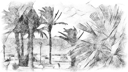 Strandpromenade mit Palmen