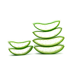 Slice Aloe Vera plant isolated for cosmetic or healthcare medical on white background.