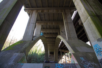 mosquito creek, under the bridge