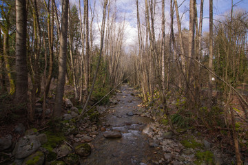 ノースバンクーバー、川、3月, North Vancouver