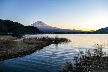 A view on Mt Fuji from the side of Kawaguchiko Lake, Japan. Soft colors of sunset - golden hour. Top of the volcano covered with a snow layer. Serenity and calmness. The lake's side is reed beds.