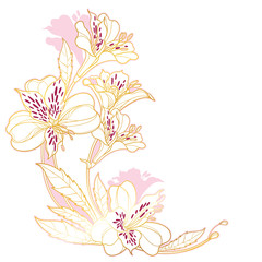 Corner bouquet of outline tropical Alstroemeria or Peruvian or Incas lily bunch and leaf in pink and gold isolated on white background.