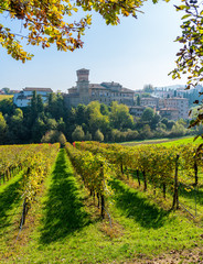 Fototapeta na wymiar Levizzano Rangone and its vineyars in fall season. Province of Modena, Emilia Romagna, Italy.