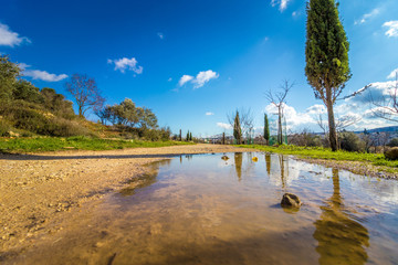 Winter puddles on a dirt path, surrounded by plants. In the Deer Valley, (emek hatsvaim) Jerusalem, Israel.