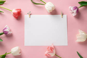 template with blank white paper with colorful flowers on a pink background. Postcard with tulips for any event with space for text. flat lay, top view