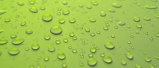 Many transparent drops of water rain on a green background, close up