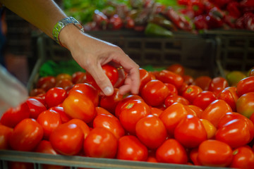 tomato