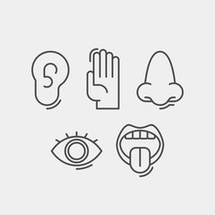 Sense organs flat vector icons. Taste, smell, touch, vision, hearing flat vector icons
