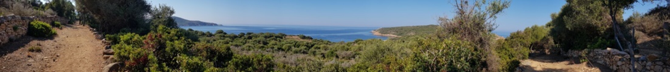 Fototapeta na wymiar Panoramique sur le maquis Corse