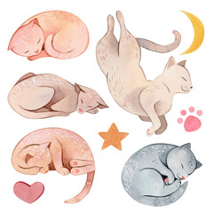 Watercolor hand painted cute cartoon sleeping cats composition