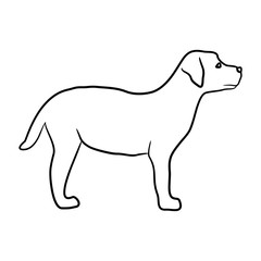 Line drawing a dog isolated on white background. Vector illustration