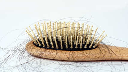 Hair loss, Solutions for hair loss,Hair loss on comb,on white background.