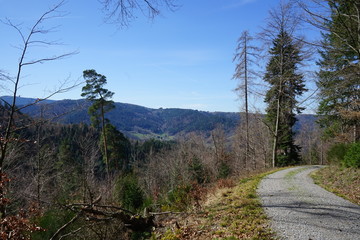 Fototapeta na wymiar Jägerpfad bei Gernsbach, Schwarzwald