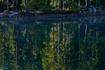 Reflection of the forest in the Blue Lake at sunrise. Indian Heaven wilderness in Washington state in the USA.