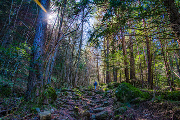 Breil sur Roya-Mercantour-Sentier du Mont Mangiabo