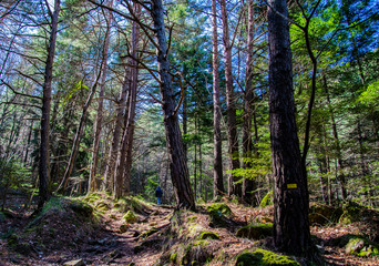 Obraz premium Breil sur Roya-Mercantour-Sentier du Mont Mangiabo