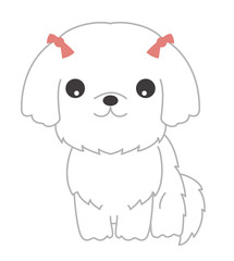 マルチーズ　正面　イラスト