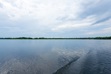 Panorama from Amazon rainforest, Brazilian wetland region.