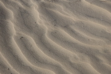 footprints in the sand