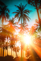 Silhouette coconut palm trees on beach at sunset. Vintage tone. © nuttawutnuy