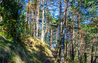 Breil sur Roya-Mercantour-Sentier du Mont Mangiabo