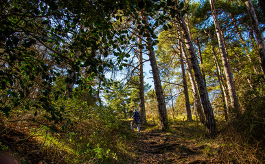 Breil sur Roya-Mercantour-Sentier du Mont Mangiabo