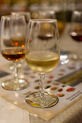 September 6, 2019, El Puerto de Santa Maria, Andalusia, Spain, sherry jerez wine tasting on bodega