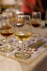 September 6, 2019, El Puerto de Santa Maria, Andalusia, Spain, sherry jerez wine tasting on bodega