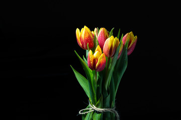Bunch of colored tulip flowers over black background