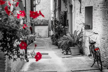 Fototapety  Kilka czerwonych kwiatów na starej ulicy