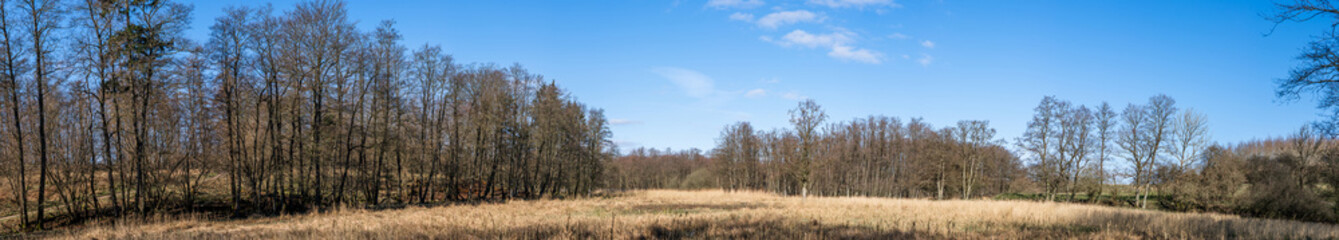 Wilderness landscape in a panorama scenery
