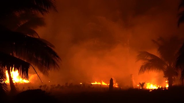 Telephoto view panning to left showing jungle fire at night with smoke, ash, and palm trees.