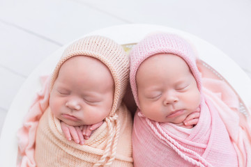 newborn twin girls. first photo session of newborns