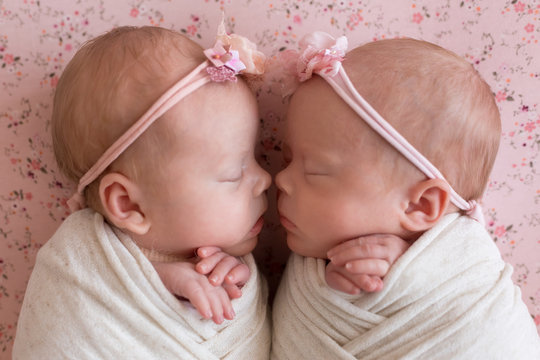 newborn twin girls. first photo session of newborns