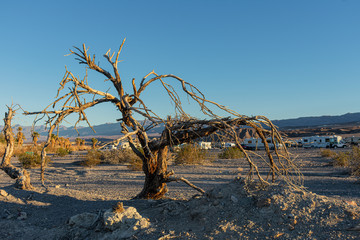 Naklejka na ściany i meble Death Valley