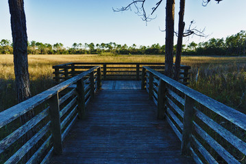 boardwalk in a florida marsh