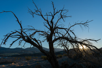 Death Valley