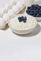 fresh farm products, cottage cheese, milk, blueberries and eggs on a white background, vertical