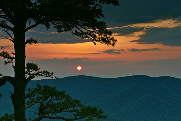 Shenandoah sunset behind tree