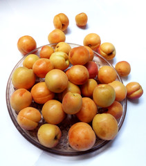 Juicy fresh apricots on a dish with dark glass on a white background