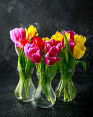 Still life with colorful tulip flowers bouquet in glass vase on black background