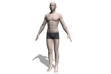 3d human model. Pictures of Human Reference For 3d Modeling. Man and woman anatomy reference 3d model. The human body isolated on white background. Human anatomy graphic drawing